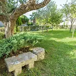 An Edens Garden Near The Sea - Pansion Youli *