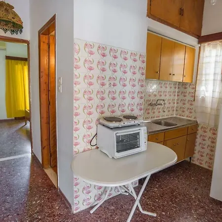 An Edens Garden Near The Sea - Pansion Youli