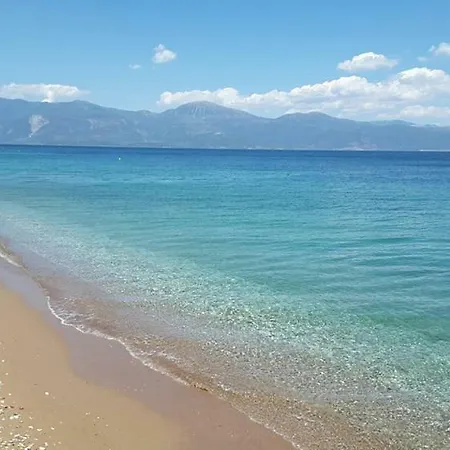 An Edens Garden Near The Sea - Pansion Youli *