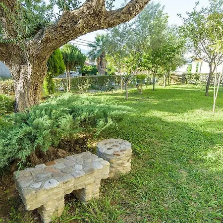 An Edens Garden Near The Sea - Pansion Youli *