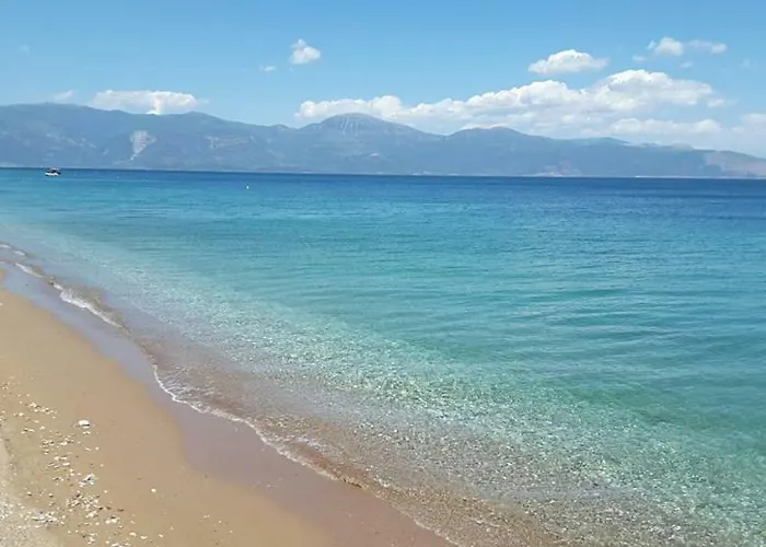 An Edens Garden Near The Sea - Pansion Youli *